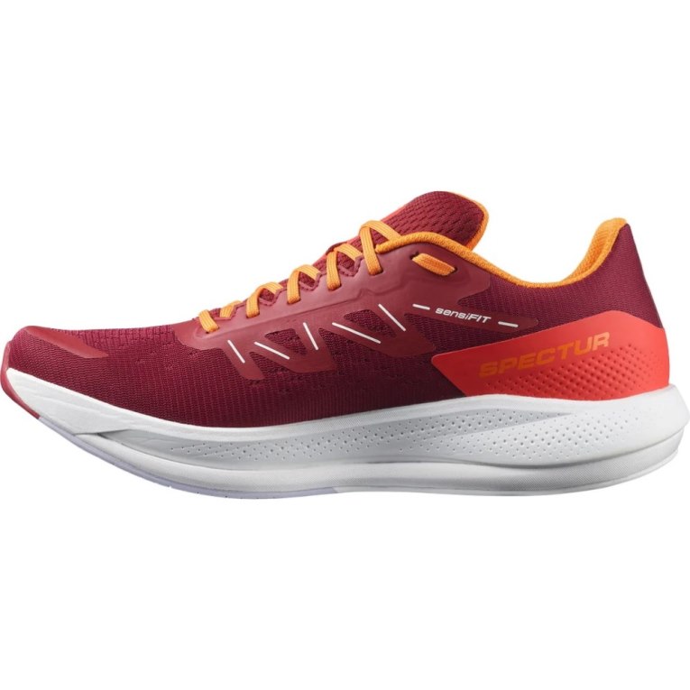 Salomon Spectur Men's Running Shoes Red | CA 62Q19